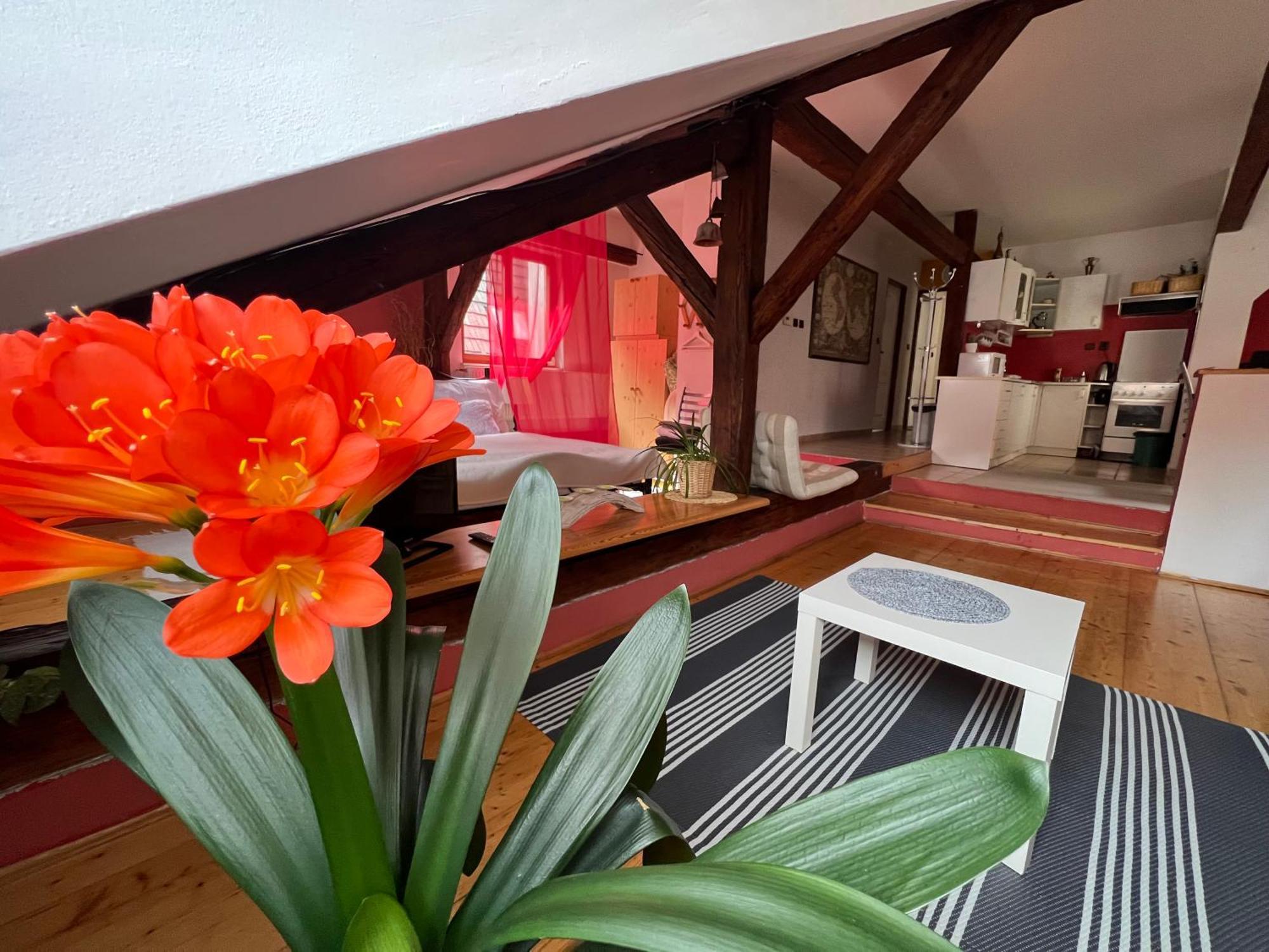 Apartman Galant Apartment Чешки Крумлов Екстериор снимка